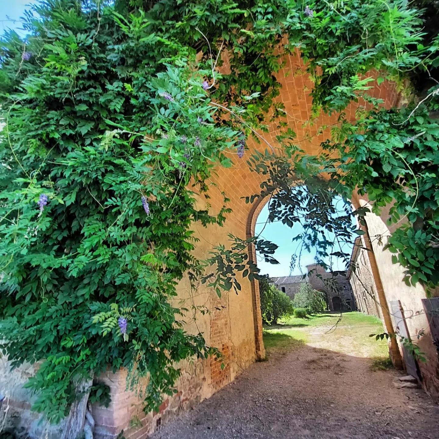 Tenuta La Fratta Sinalunga Εξωτερικό φωτογραφία